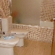 Baño completo