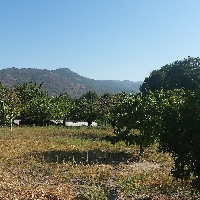 Finca en la Romana