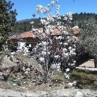 VENTA CASA DE CAMPO,LADERAS DE JALAMA , EN SIERRA DE GATA
