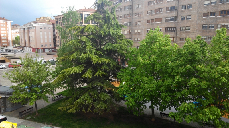vistas