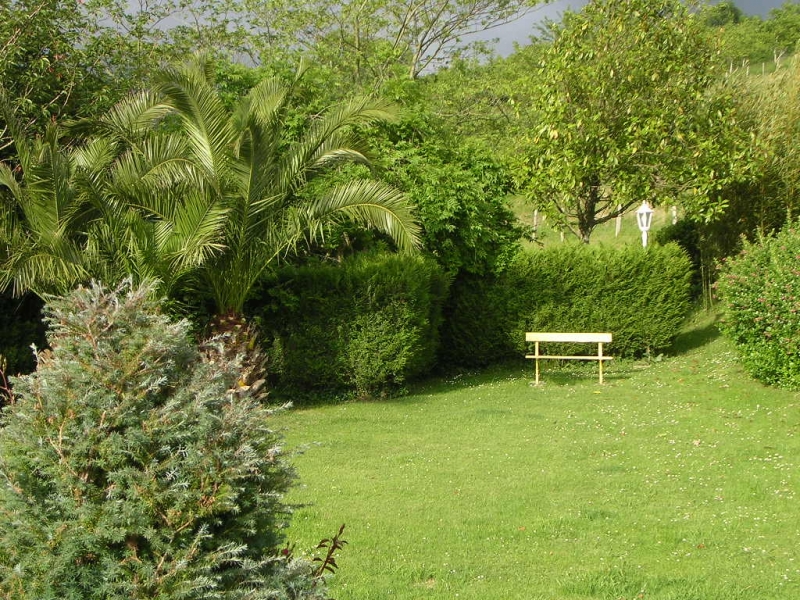 Jardin rincón con banco