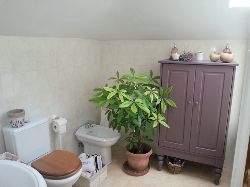 Baño habitación principal