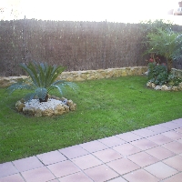 Bajo en el Olivar de Aljamar